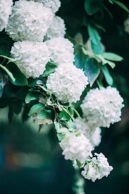 独孤天下电视剧免费观看完整版