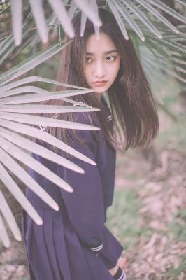 樱花影院高清电影好看的电视剧